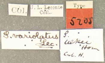 Media type: image;   Entomology 5205 Aspect: labels